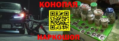 ECSTASY Кингисепп